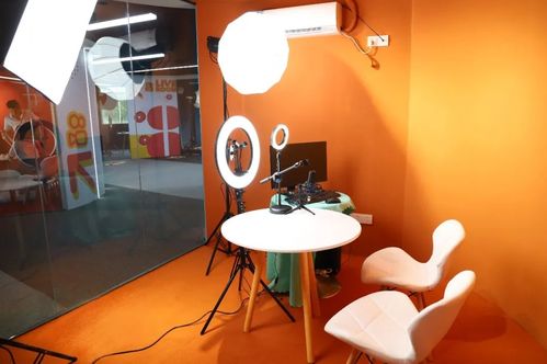 快手点赞业务24小时下单，数字化社交生态下的流量运营新范式