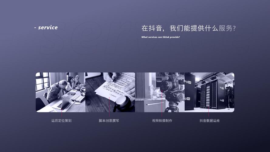 快手生态下的粉丝经济新蓝海,专业解析粉丝接任务平台APP的运营模式与行业价值