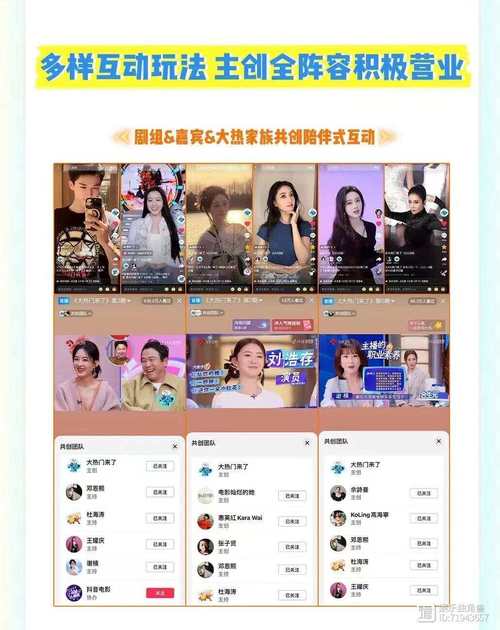 抖音粉丝网站平台崛起,赋能创作者,构建数字化粉丝经济新生态