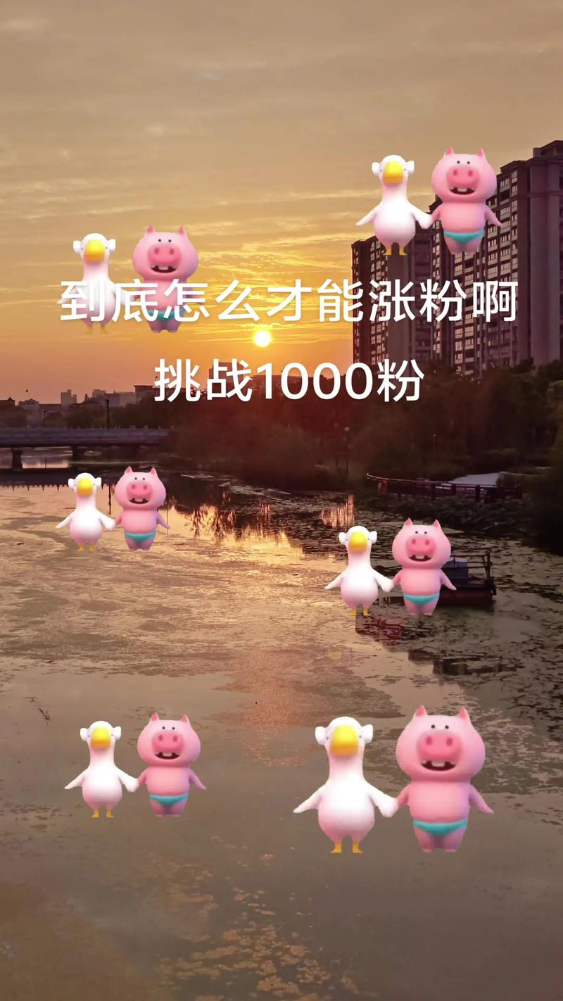 抖音涨粉新突破，揭秘最快涨1000粉的实战策略与技巧