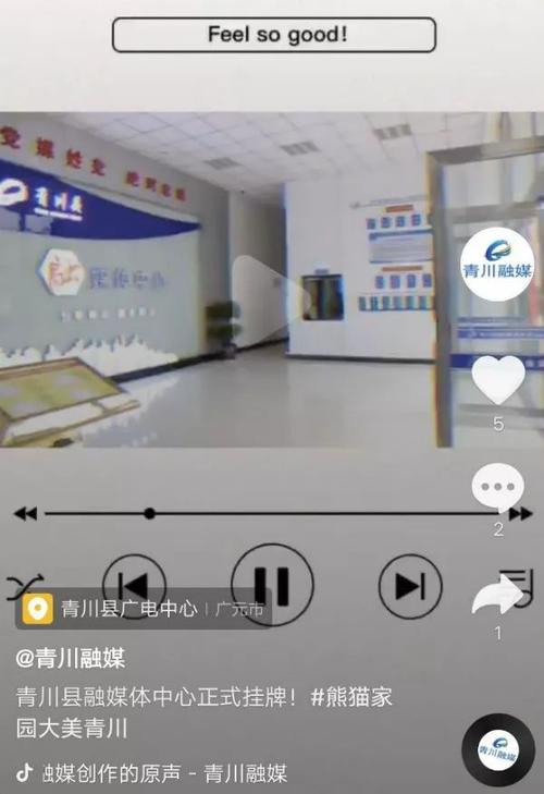 抖音点赞24小时双击业务开启,高效下单助力账号腾飞