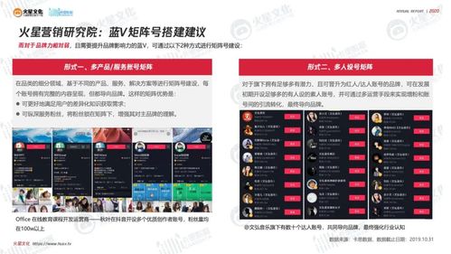 快手粉丝业务24小时高效下单体系,透视低价策略背后的行业生态与市场机遇