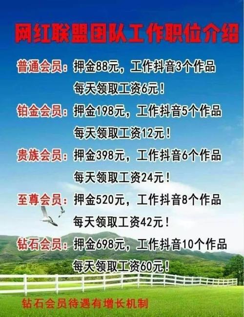 24小时抖音点赞在线自助平台-免费领抖音10000赞