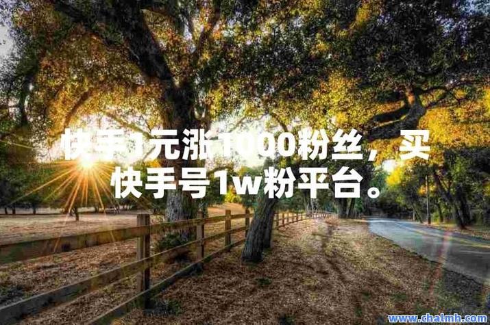 快手粉丝网-免费粉网站推广马上