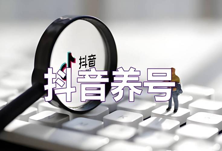 抖音24小时自助下单平台-抖音粉丝业务套餐0.1-1000万粉丝