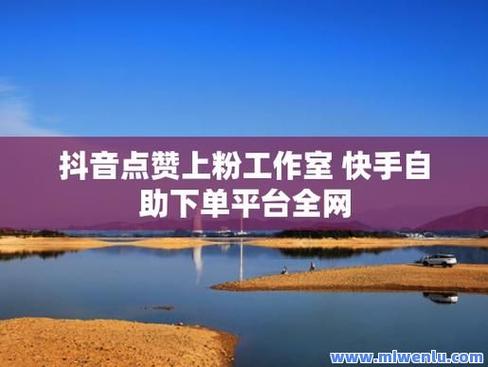 ks涨粉粉丝业务-快手买赞平台