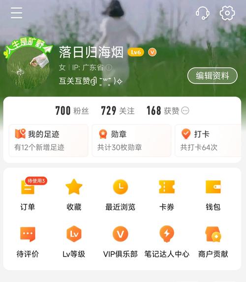 ks里点赞评论神器-怎么购买点赞1000以上