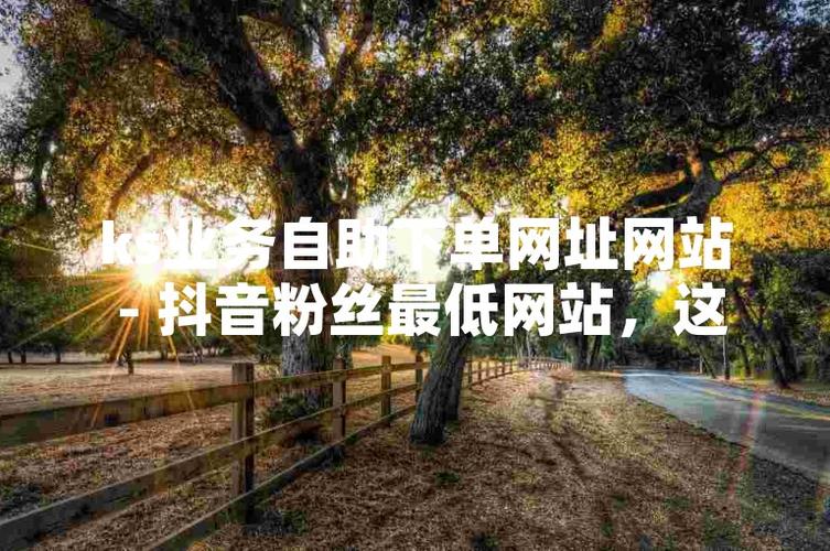 ks永久点赞自助网站-快手2元1000粉自助下单平台
