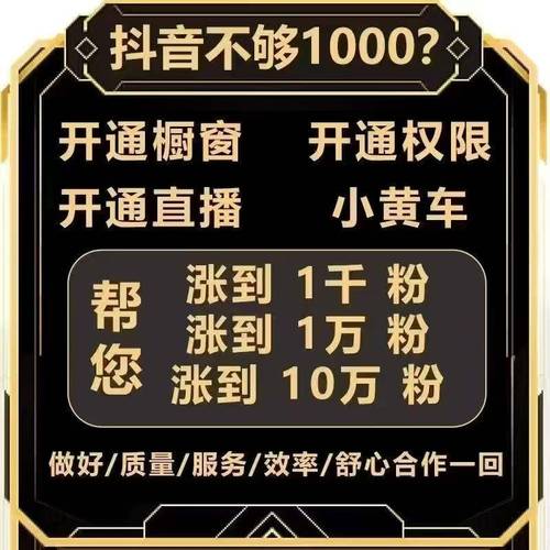 dy点赞24小时业务平台-抖音涨活粉软件